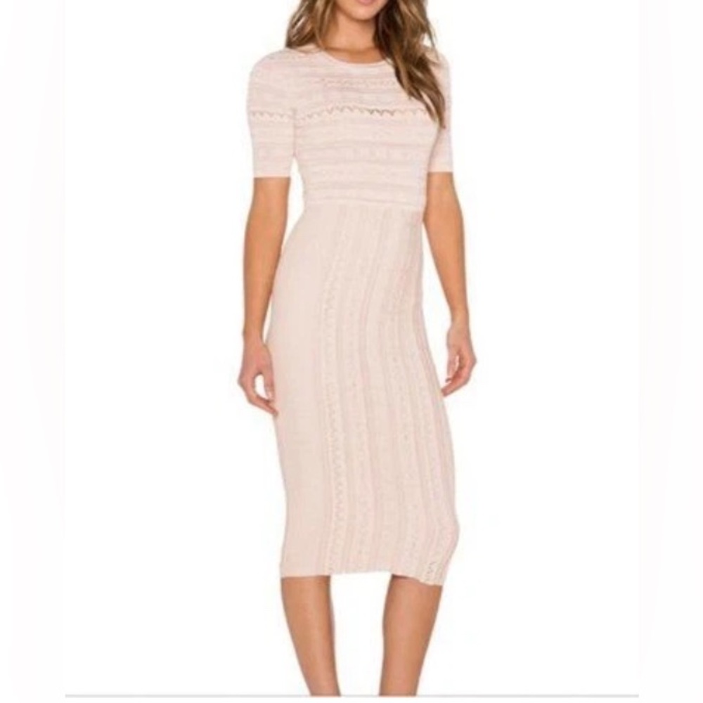 NWT Ronny Kobo Christina Dress Size M